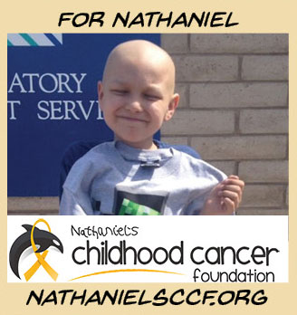 Nathaniel's Childhood Cancer Foundation
